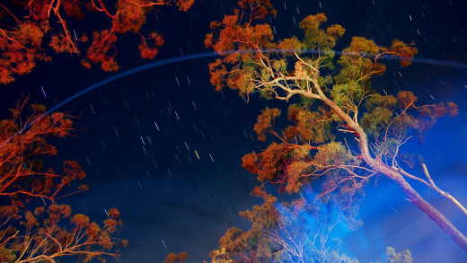 788265 (a): :1920x1080